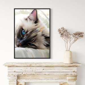 Plakat fine art kot Ragdoll