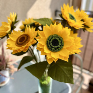 Słonecznik (rozmiar M)