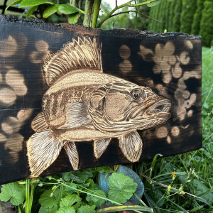 Wypalany Sandacz na desce z olchy