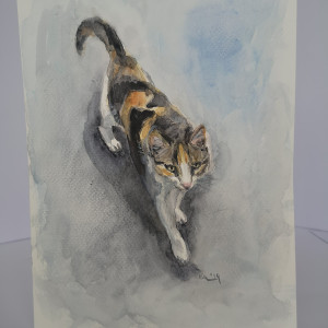 Tricolorka/ Dobczyckie koty I