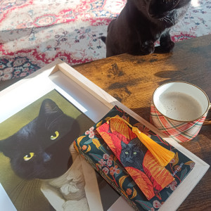 Zakładka do książki Black cat