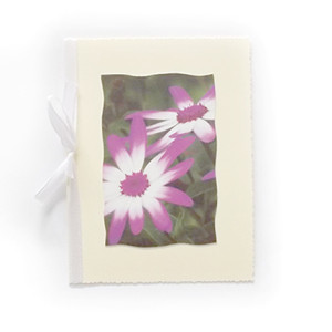 kwiaty kartka bez życzeń, kwiatki kartka bez tekstu, kartka z kwiatkami, kartka z kwiatami, kartki na różne okazje