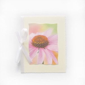 kartka z kwiatkiem, kartka bez życzeń, kwiat kartka bez tekstu, kartki na różne okazje, kartka dla dziewczyny, kartka dla kobiety