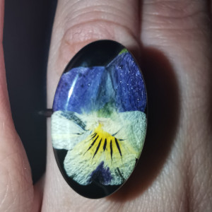 Fiołek, fiołki, pierścionek, pierścień, kwiaty, bratek