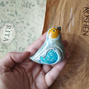 Ptaszek seledynowy  z turkusowym skrzydłem