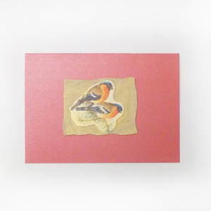 czerwona kartka z ptaszkami, Boże Narodzenie kartki bez życzeń, ptaszki kartka, świąteczna kartka z ptaszkami, kartki na Nowy Rok, kartki dla firm, czerwone kartki na Boże Narodzenie