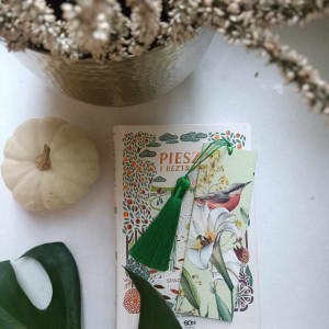 Zakładka do książki Ptaki