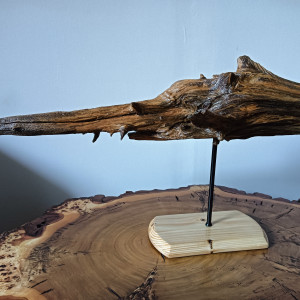 Rzeźba natury "Ryba"