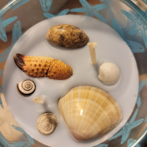 Świeca sojowa: Wspomnienie wakacji