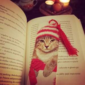 Zakładka do książki Kotek