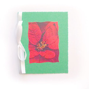 czerwono zielona kartka świąteczna, kartki na Nowy Rok, kartki na Boże Narodzenie, kartki noworoczne, Boże Narodzenie kartki, ładne kartki na Święta, kartka z gwiazdą betlejemską