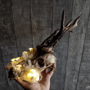 Dekoracyjna leśna lampa