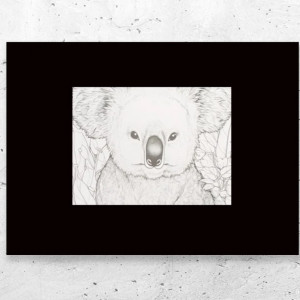 biało czarny plakat A4, miś koala plakat 21x30, plakat z misiem koala, miś plakat biało czarny, zwierzęta plakaty A4, mały plakat na ścianę, miś obrazek A4, obrazek z misiem koala