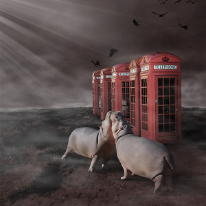 Plakat gotycki hipopotamy i telefony 04_2024