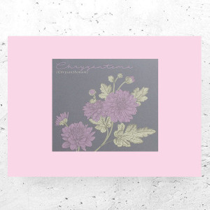 botaniczny plakat A4, rośliny plakat na ścianę, plakat z roślinami, vintage plakat A4, retro plakat z kwiatami, mały plakat do domu