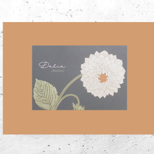 botaniczny plakat A4, rośliny plakat na ścianę, plakat z roślinami, vintage plakat A4, retro plakat z kwiatami, mały plakat do domu