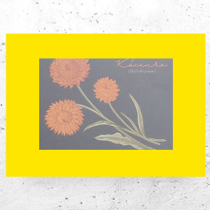 botaniczny plakat A4, rośliny plakat na ścianę, plakat z roślinami, vintage plakat A4, retro plakat z kwiatami, mały plakat do domu