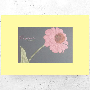 botaniczny plakat A4, rośliny plakat na ścianę, plakat z roślinami, vintage plakat A4, retro plakat z kwiatami, mały plakat do domu