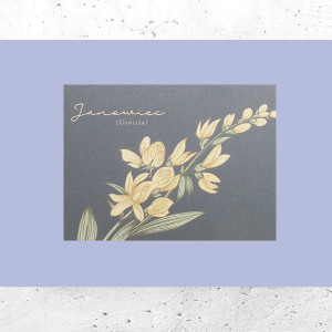 botaniczny plakat A4, rośliny plakat na ścianę, plakat z roślinami, vintage plakat A4, retro plakat z kwiatami, mały plakat do domu