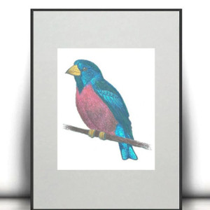retro plakat A4, ptaszek obrazek do domu, vintage plakat 21x30, plakat z ptaszkiem, obrazek z ptaszkiem, ptaszek plakat na ścianę A4, mały plakat do biura, A4 plakat do sypialni, poster a4