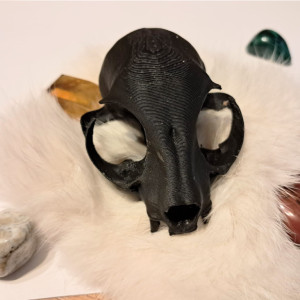 wydruk czaszki kota czarna