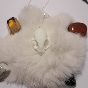 naszyjnik z mini czaszką kota