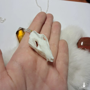 naszyjnik z mini czaszką oposa