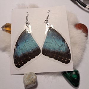 kolczyki ze skrzydeł morpho peleides