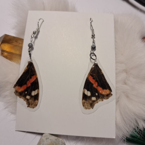 kolczyki ze skrzydeł rusałki admirał