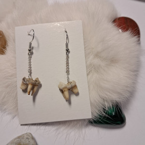 kolczyki z zębami lisa