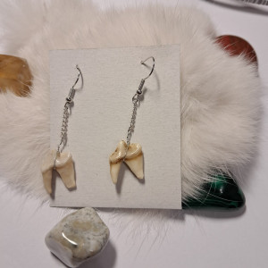 kolczyki z zębami lisa