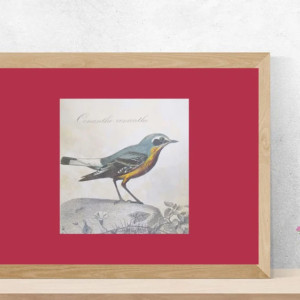 retro plakat A4, ptaszek obrazek 21x30, vintage plakat z ptaszkiem, ptaszek grafika na ścianę, ptaszek plakat do domu,  vintage obrazek z ptaszkiem, retro plakaty na ścianę