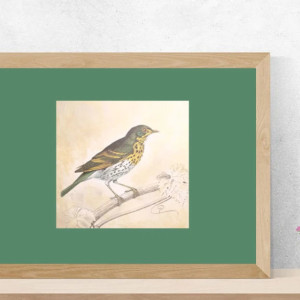 retro plakat A4, vintage plakat z ptaszkiem, retro obrazek z ptaszkiem, ptaszek plakat 21x30, ptaszek obrazek na ścianę, vintage plakaty na ścianę, ptaki plakaty A4, ładne plakaty do domu