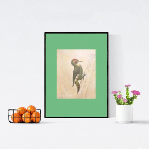 vintage plakat A4, ptaszek plakat 21x30, retro obrazek z ptaszkiem, dzięcioł plakat na ścianę, ptaszek obrazek, vintage plakaty do domu, plakaty z ptaszkami, fajne plakaty A4