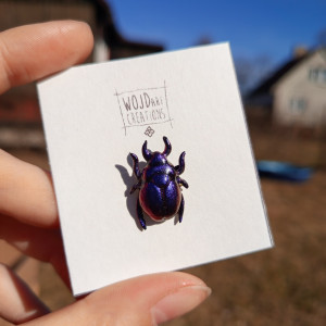 Przypinka w kształcie żuczka wykonana z glinki polimerowej, ręcznie malowana