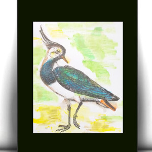 retro plakat A4, mały obrazek z ptaszkiem, ptaszek plakat A4, czajka plakat do domu, vintage plakat z ptaszkiem, ptaszek obrazek 21x30, obrazek z czajką, ptaki plakaty A4, ptaki obrazy A4