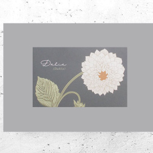 botaniczny plakat A4, rośliny plakat na ścianę, plakat z roślinami, vintage plakat A4, retro plakat z kwiatami, pastelowy plakat do domu, obrazek do przedpokoju, plakat do sypialni