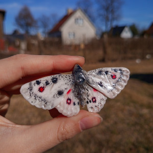 Ręcznie wykonana broszka w kształcie motyla apollo niepylak idealny prezent dla miłośników owadów