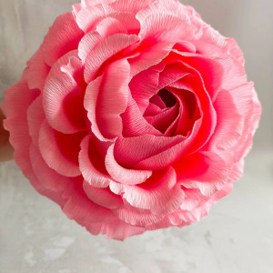 Duża róża - niespodzianka z krepiny włoskiej