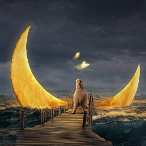 Plakat fantasy kot z hipopotamem 057_2024