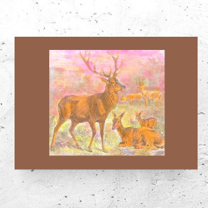 retro plakat A4, jeleń plakat 21x30, vintage obrazek z jeleniem, zwierzęta obrazek 21x30, myśliwski plakat retro, jelonek plakat, sarny plakat vintage, retro obrazek