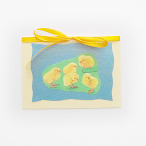 fajne kartki wielkanocne, ładne kartki na Wielkanoc, kartka wielkanocna, kartki z okazji Świąt Wielkanocnych, Wielkanoc kartki bez życzeń