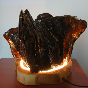 Lampa z korzenia dębu ,LED