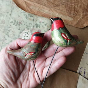 Ptaszki z czerwonymi główkami