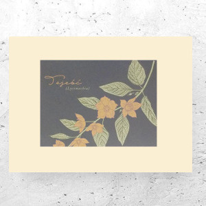 botaniczny plakat A4, rośliny plakat na ścianę, plakat z roślinami, fajne plakaty, vintage plakaty A4, retro plakaty z kwiatami, pastelowy plakat do domu, boho posters A4, liście plakat 21x30