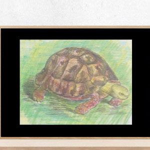 retro plakat A4, vintage obrazek z żółwiem, żółw plakat A4, zwierzęta obrazek 21x30, zoo obrazek, zwierzęta plakat do domu, retro obrazek A4, żółw obrazek vintage