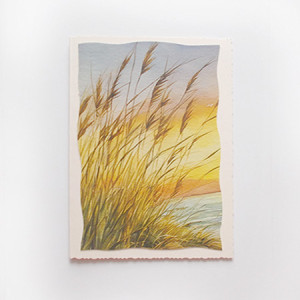 pastelowe kartki na różne okazje, łąka kartka bez życzeń, kartka z łąką, lato kartka, wakacje kartka, fajne kartki okolicznościowe, zaproszenia, podziękowania, karnety, pejzaż kartka, kartka