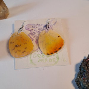 kolczyki ze skrzydeł