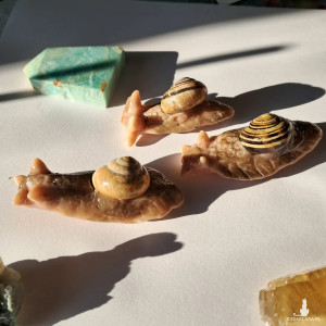 magnes ślimak 1 sztuka