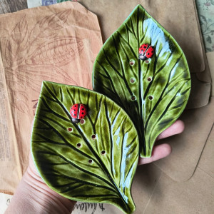 Mydelniczki z biedronką